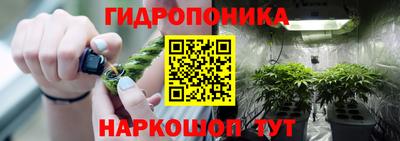 кокс Камышлов