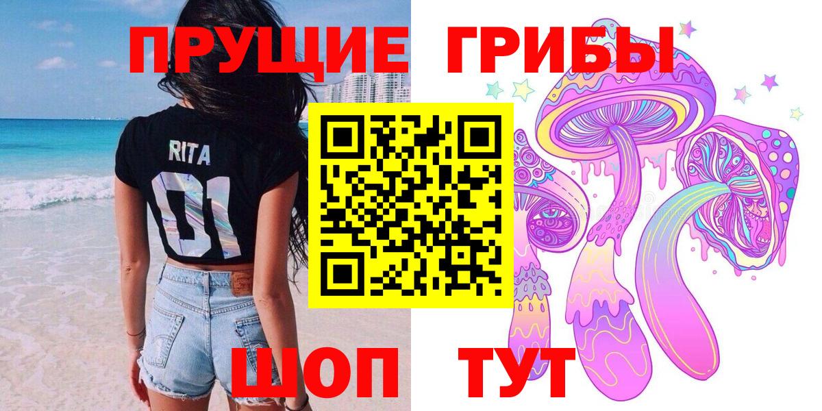 Псилоцибиновые грибы мицелий Зеленогорск