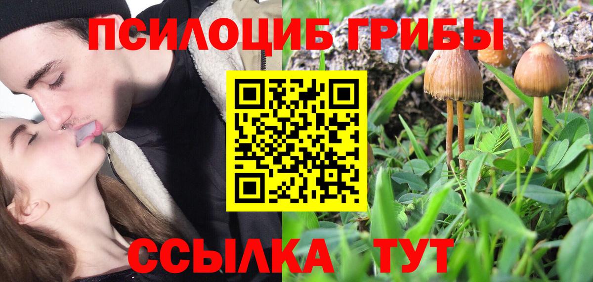 Псилоцибиновые грибы Psilocybine cubensis  Вход с VPN  Галлюциногенные грибы GOLDEN TEACHER  Зеленогорск 